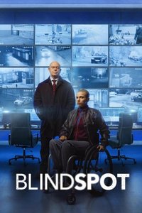 Blindspot (Series 1)