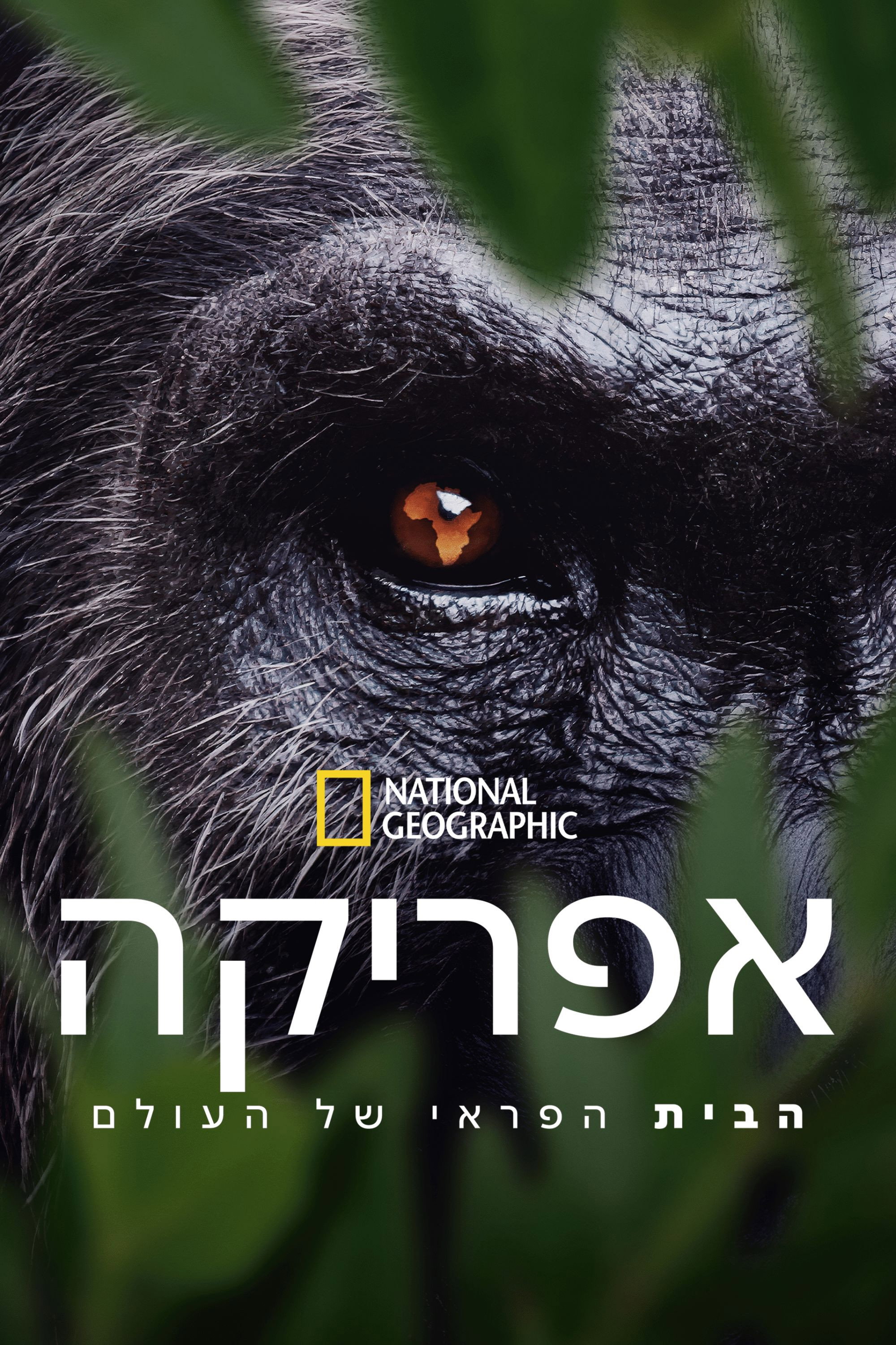 Africa Earth's Wild Home (Miniseries)