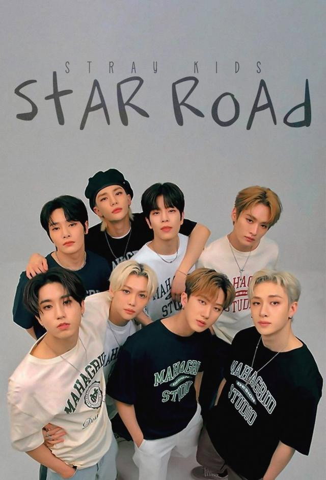 明星之路 (Stray Kids)