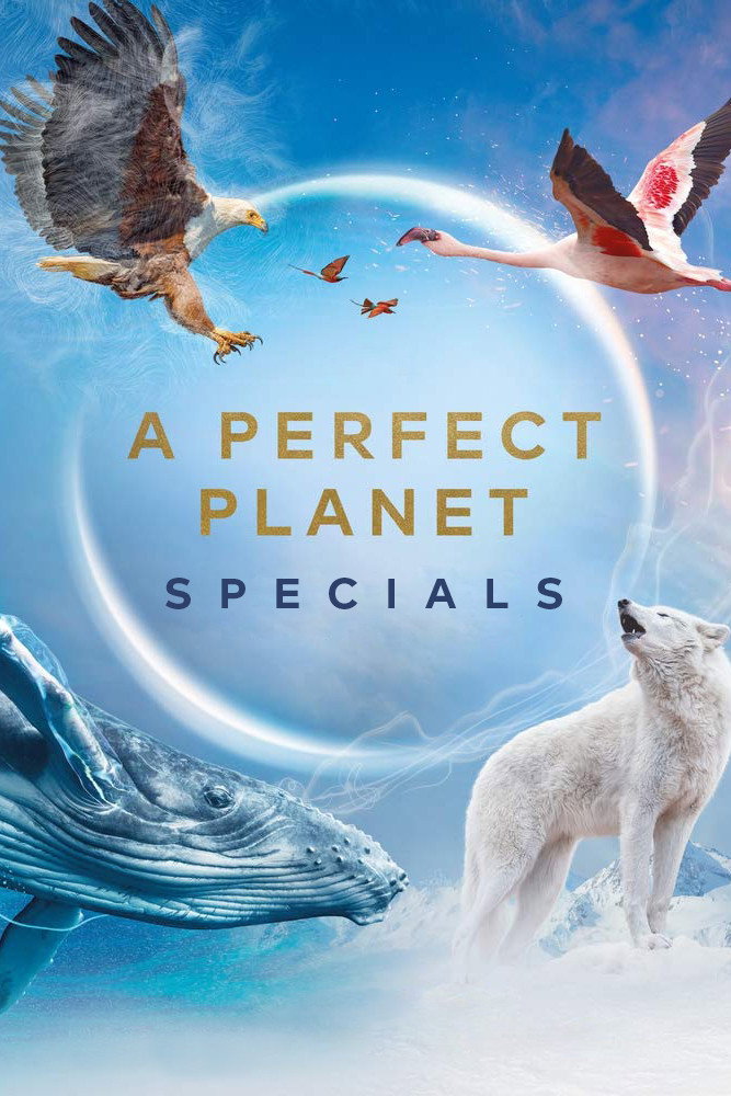A Perfect Planet (Specials)