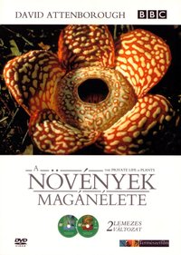 The Private Life of Plants