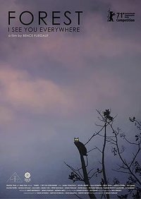 Forest - I See You Everywhere
