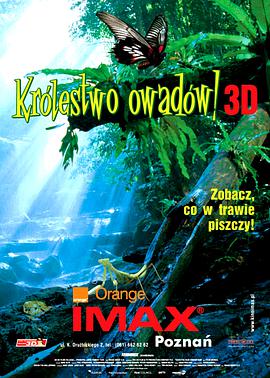 Bugs!: A Rainforest Adventure