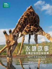 Waterhole Africa's Animal Oasis