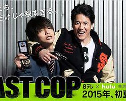 The Last Cop