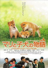 A Tale of Mari and Three Puppies