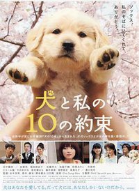 10 Promises to my Dog