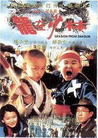 Dragon from Shaolin
