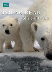 Polar Bears: Spy on the Ice