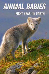 Animal Babies: First Year on Earth