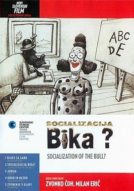 Socialisation of a Bull
