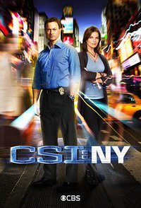 CSI: New York Season 8