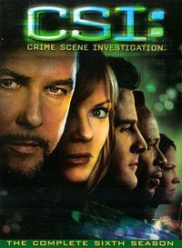 CSI: Crime Scene Investigation (犯罪现场调查 第六季)
