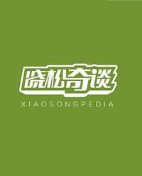 晓松奇谈