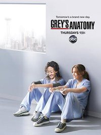 Grey's Hvide Verden (Grey's Anatomy)