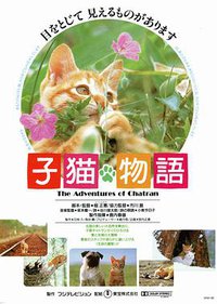 子猫物语