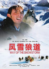 Way Of The Snowstorm