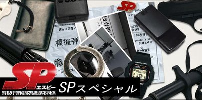 Security Police SP