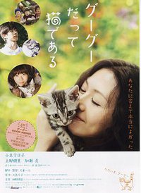 Gu Gu the Cat