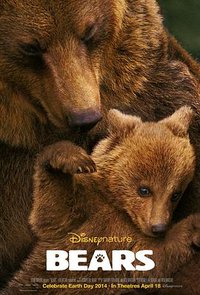 Bears