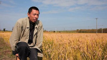 Natural Farmer JIA