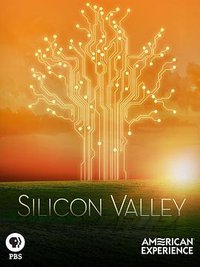 Silicon Valley