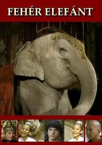 L'elefante bianco