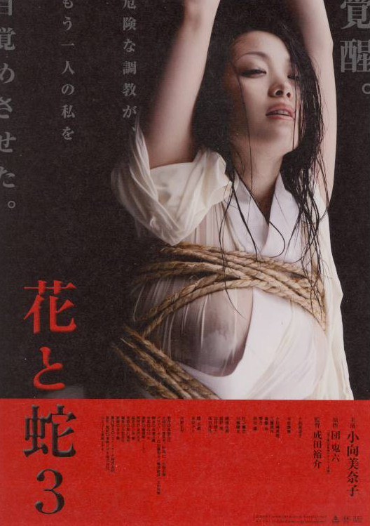 花与蛇 3