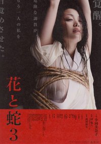 花与蛇 3