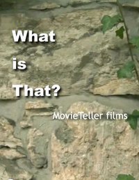 What Is That?