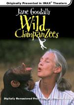 Jane Goodall's Wild Chimpanzees