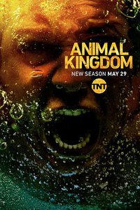 Animal Kingdom (野兽家族 第三季)