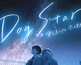 Dog Star 与你一同仰望冬季的群星