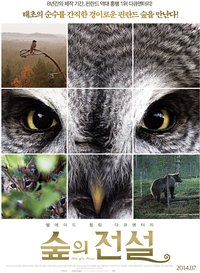 Wunder des Waldes 3D: Tales of a Forest