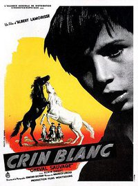 White Mane: The Wild Horse