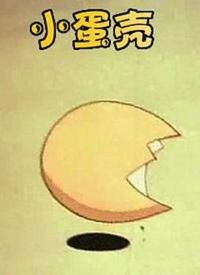 小蛋壳