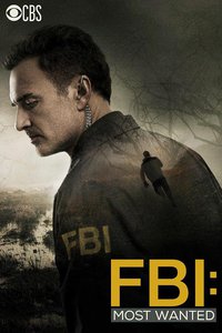 FBI: Most Wanted Staffel 1