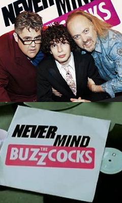 Never Mind the Buzzcocks (乐坛毒舌嗡嗡鸡 第十九季)