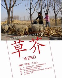 Weed