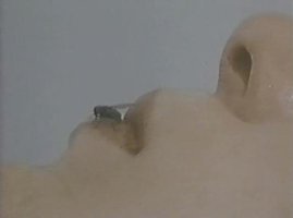 Fly
