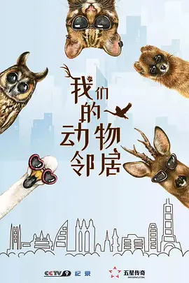 我们的动物邻居