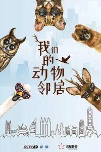 我们的动物邻居