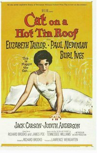 Cat on a Hot Tin Roof