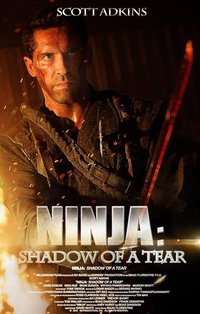 Ninja: Shadow Of A Tear