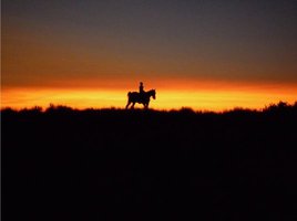 Reel Injun