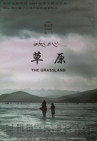 The Grassland