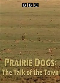 Natural World: Prairie Dogs - Talk of the Town