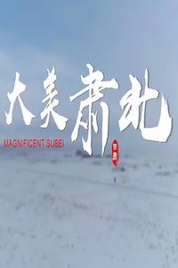 大美肃北