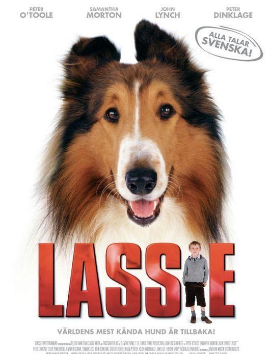 新灵犬莱西