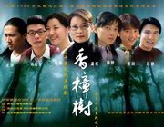 香樟树